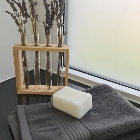 Le Loft De - 4 Etoiles Apartment *